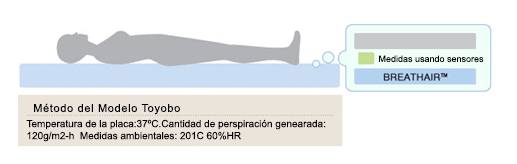 Modelo estudios de Breathair